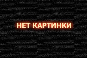 Ми-ми-мишки